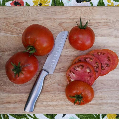 🍅🍅GARTENSCHATZ-TOMATEN