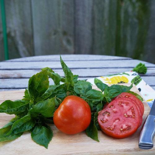 🍅🍅GARTENSCHATZ-TOMATEN