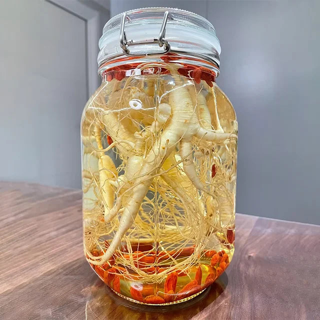 Ginseng-Samen Staudenstaude