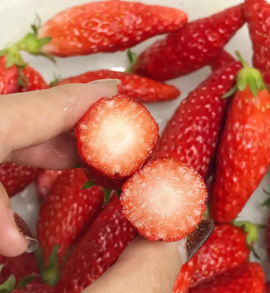 Supersüße Erdbeersamen in Chili-Form🍓