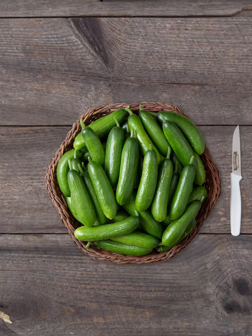 🥒🥒 Dornlose Mini-Gurkensamen😋