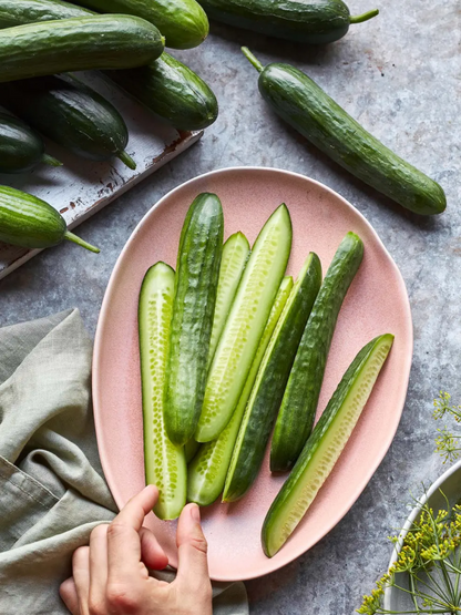 🥒🥒 Dornlose Mini-Gurkensamen😋