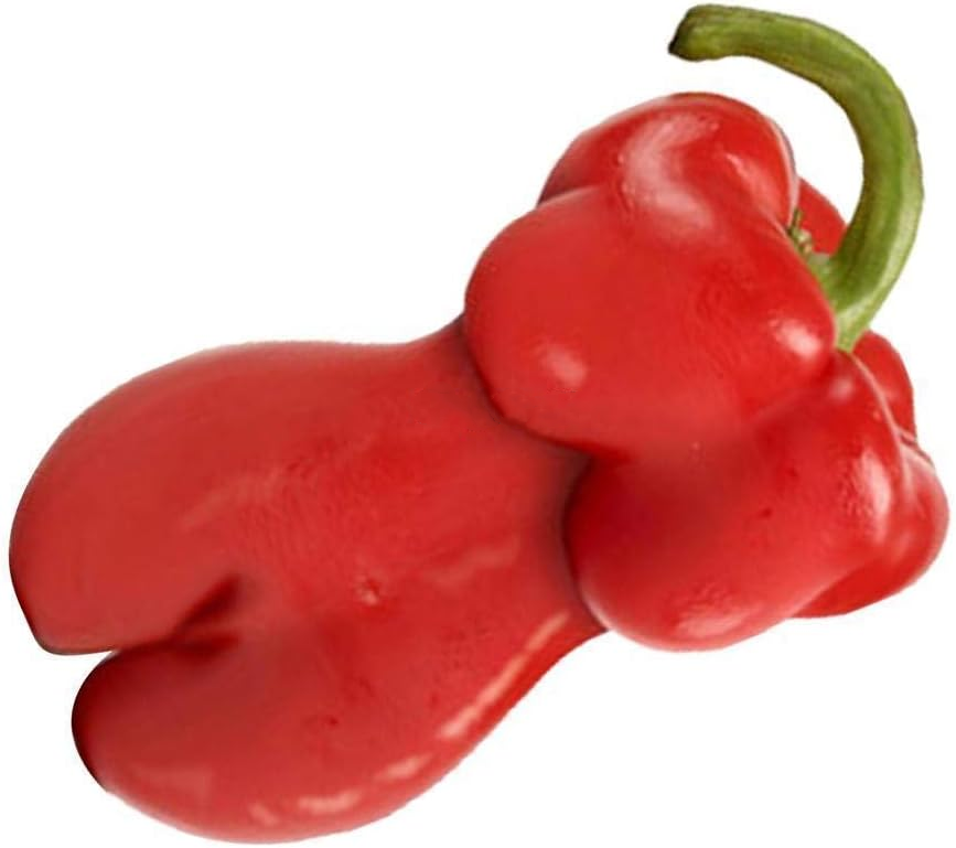 🌶️🌶️Seltene Wundergemüse -Schönheit Chili-Samen