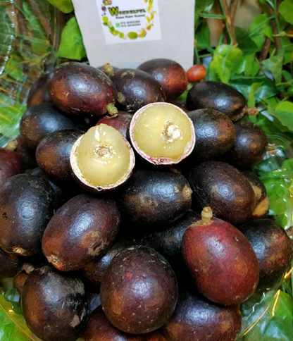 🤩🤩lecker und saftig-Brasilianische Longan