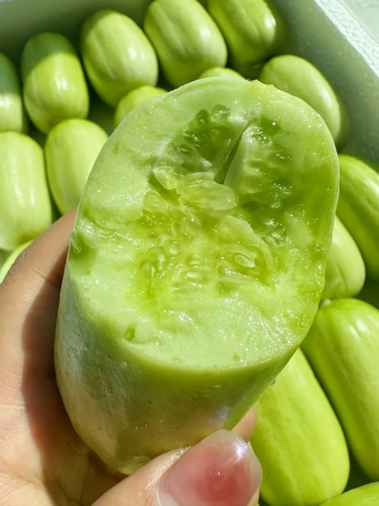 🥒Growable in all seasons - Jade Girl Cucumber