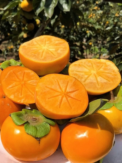 🍅Sehr knusprig und süß🍅👍Sweetheart Crispy Persimmon