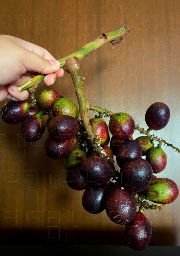 🤩🤩lecker und saftig-Brasilianische Longan