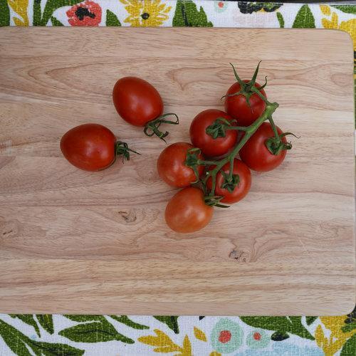 💥GARDEN GEM TOMATOES🥰