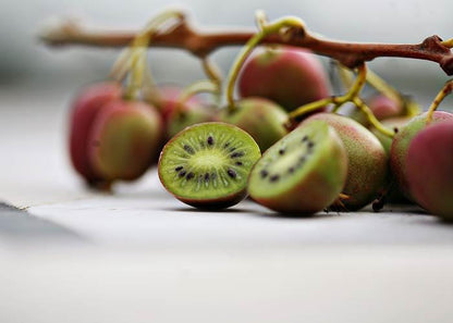 Mini Kiwi Beeren Samen - Jetzt erhältlich! 🥝🌱