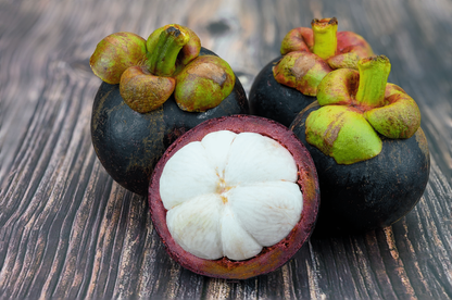 😘MANGOSTEEN-PFLANZENSAMEN