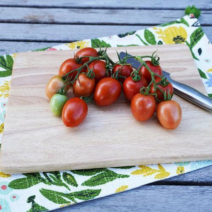 💥GARDEN GEM TOMATOES🥰