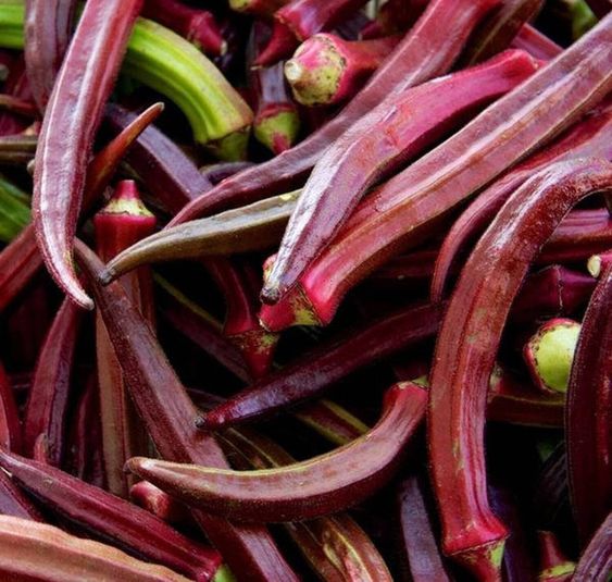 🥦🥦Bio-Rote Okra