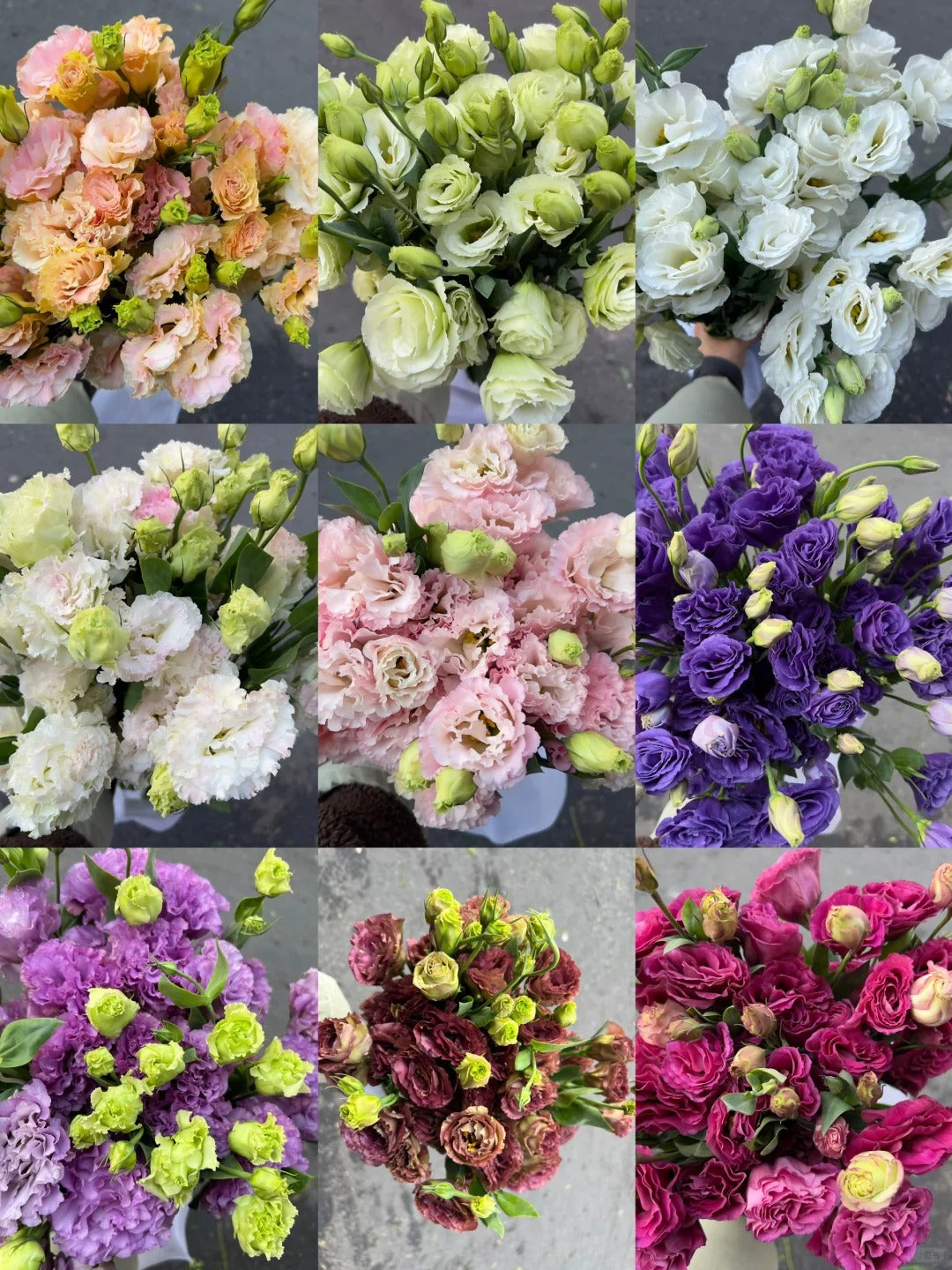 🌼LETZTER TAG DES VERKAUFS - 50 % RABATT - Bezaubernder Duft! 🌈 Gemischte Lisianthus-Samen-Gruppe.