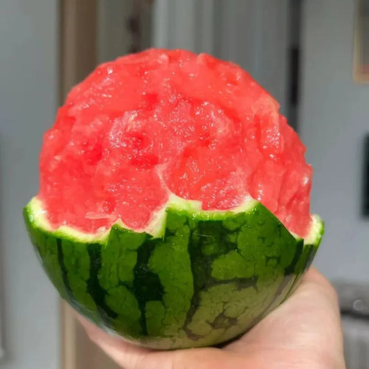 Süß und saftig 💦Rote Jade-Wassermelone🍉🍉