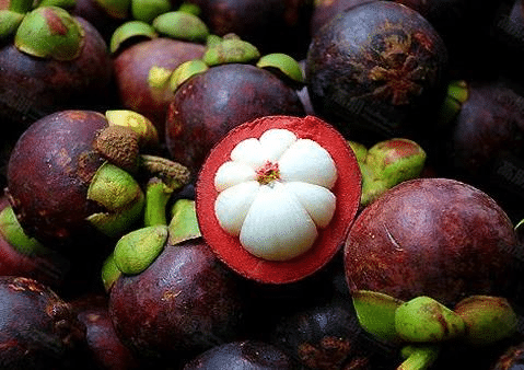 😘MANGOSTEEN-PFLANZENSAMEN