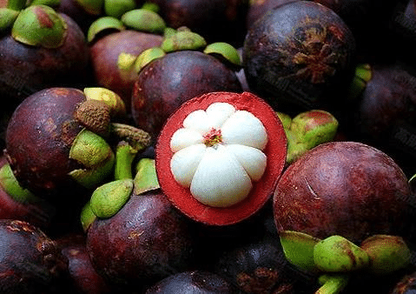 😘MANGOSTEEN-PFLANZENSAMEN