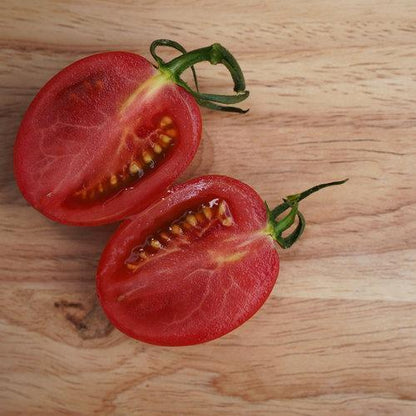 💥GARDEN GEM TOMATOES🥰