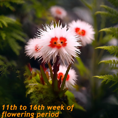 🌈Ganzjährig blühend!💗Red Collared Sea Urchin Flower