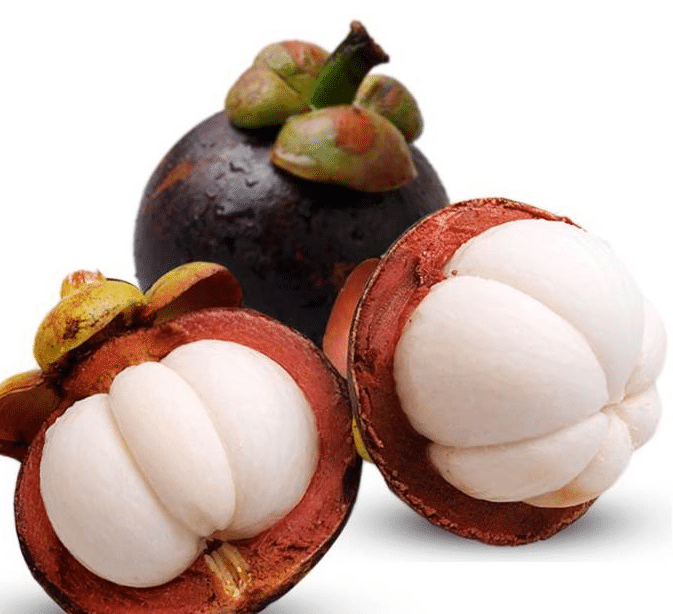 😘MANGOSTEEN-PFLANZENSAMEN