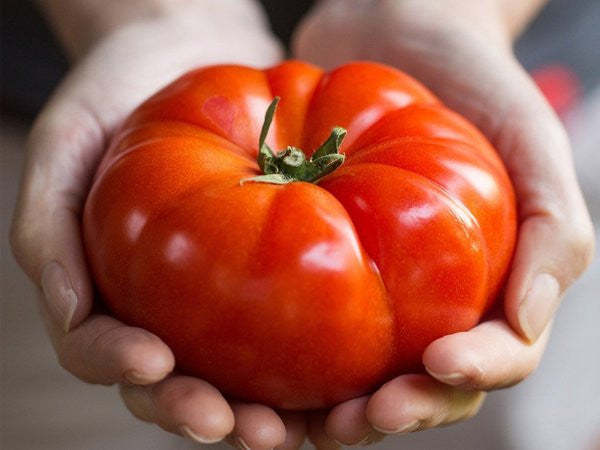 GIANT DELICIOUS TOMATO / UP TO 2KG (20 SEEDS A PACK)