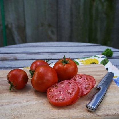 🍅🍅GARTENSCHATZ-TOMATEN