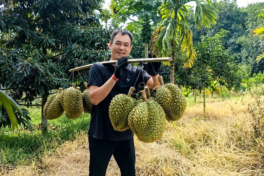 😋DURIAN-FRUCHTPFLANZENSAMEN😋